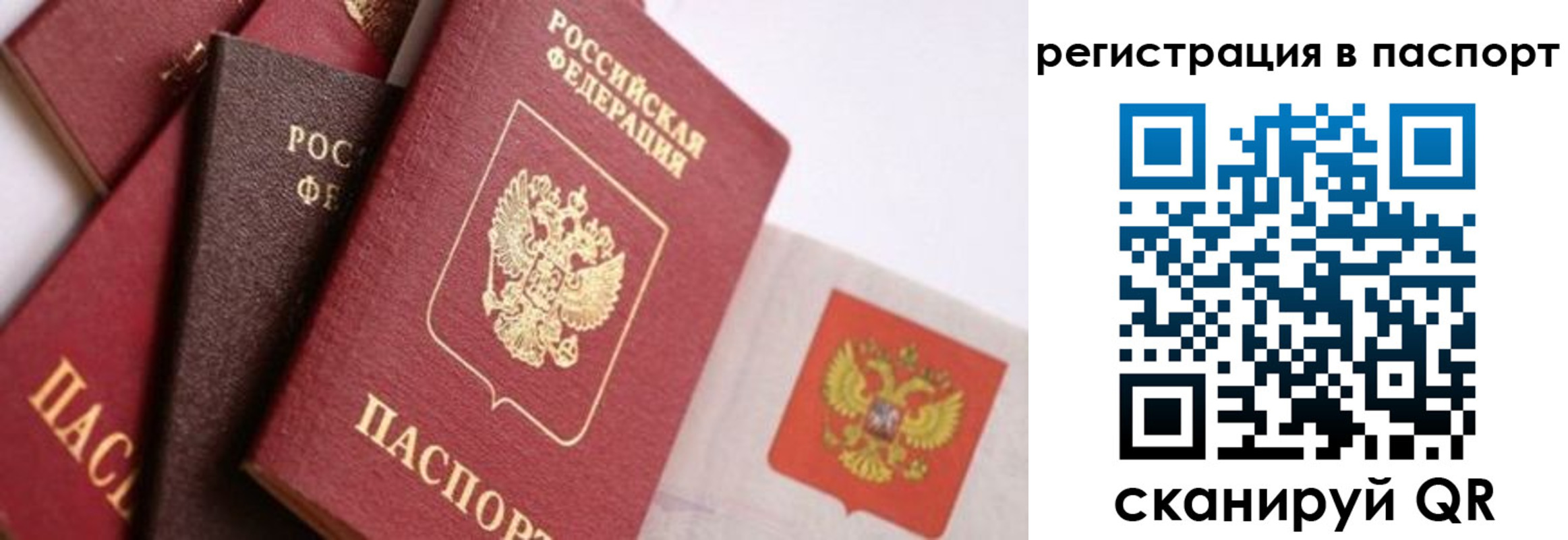 прописка в квартире в Нижнем Новгороде